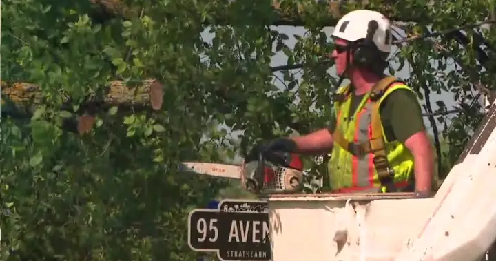 Thunderstorm cleanup expected to cost City of Edmonton $20-$30 million