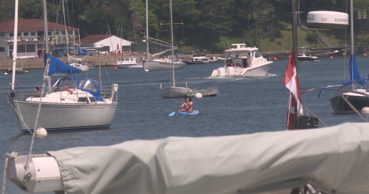 Boating safety urged as RCMP investigate 2 separate fatal accidents in N.S. – Halifax