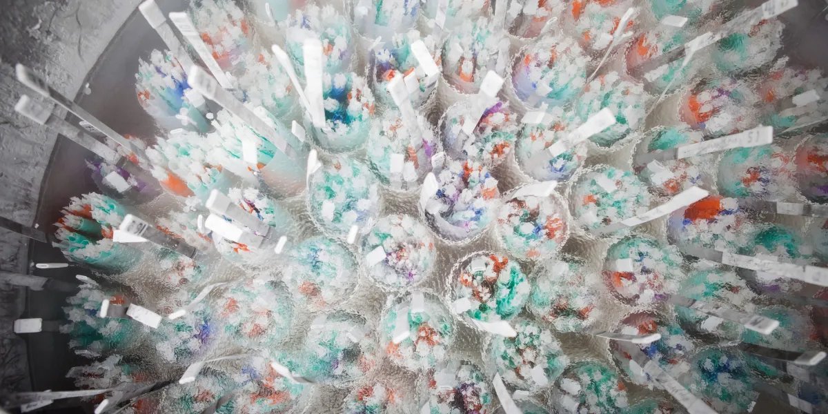 Sperm donors need limits, says a European fertility group