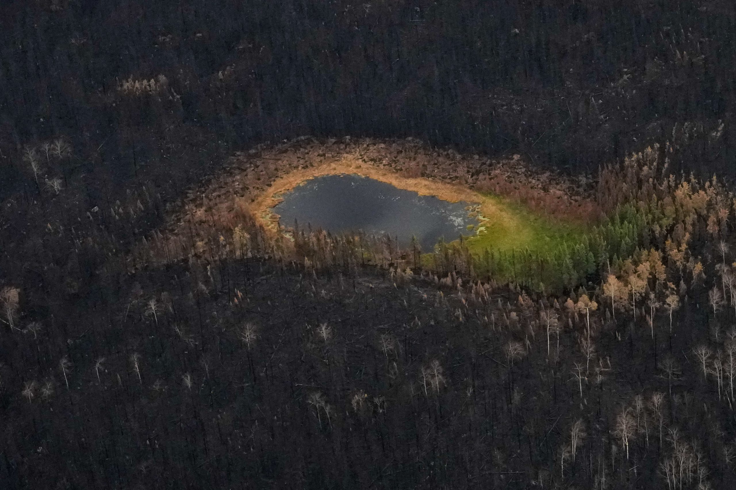 Progressive-left outlets report on Ontario wildfires, media coverage of climate change