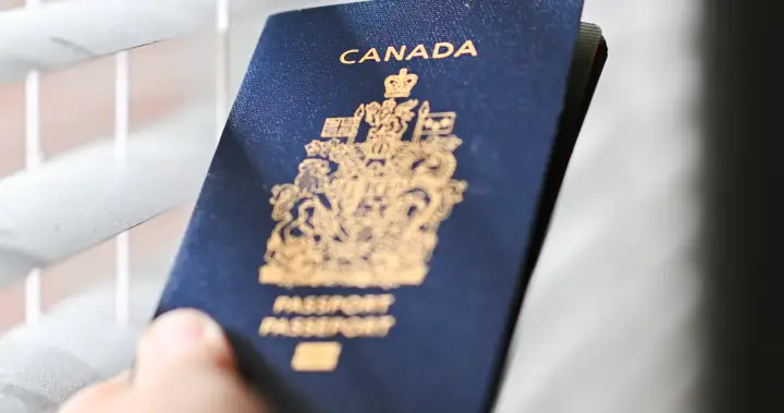 Charges laid in ‘deceptive’ Canadian passport website scam – National