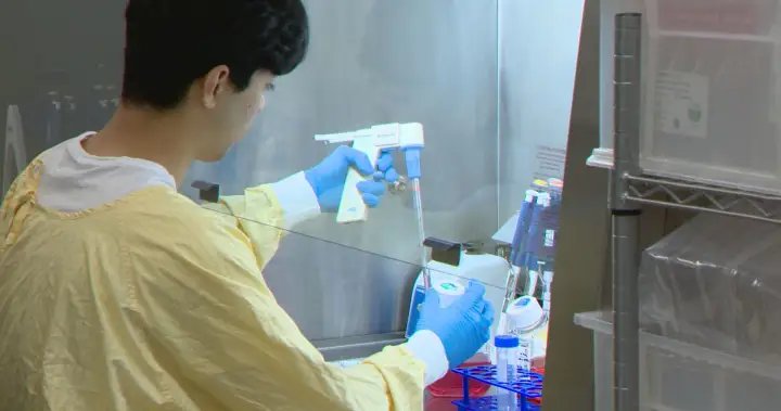 University of Calgary developing new immunotherapy cancer treatment – Calgary