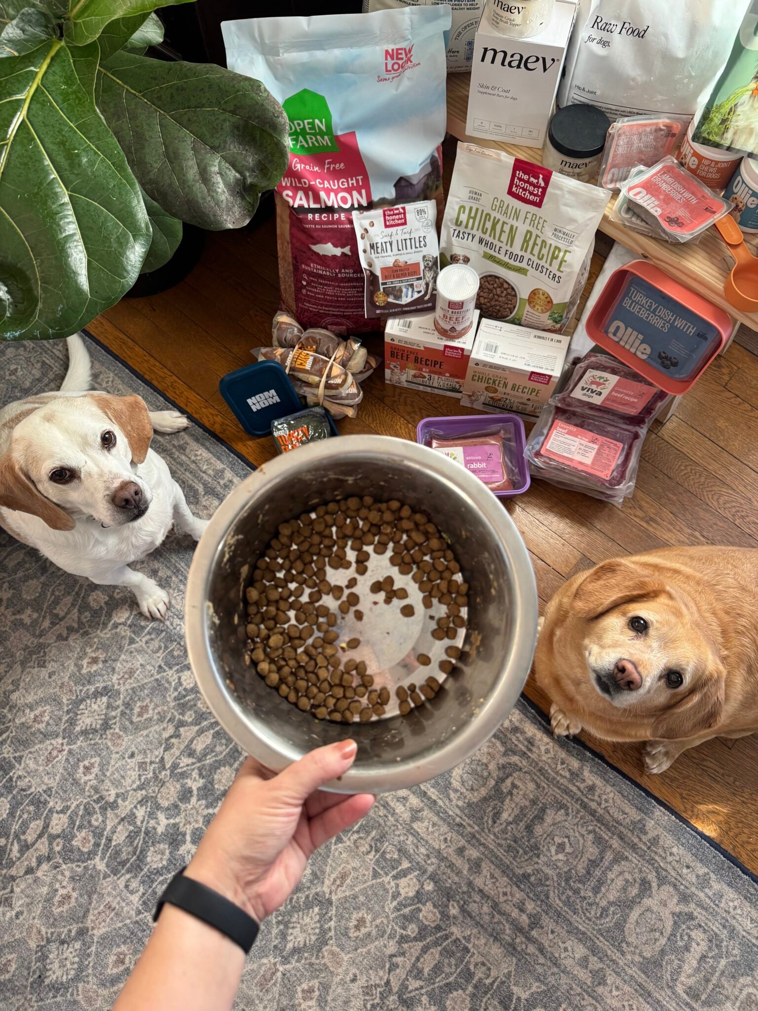 9 Best Natural Dog Food Brands In 2026 (Dog Reviewed!)