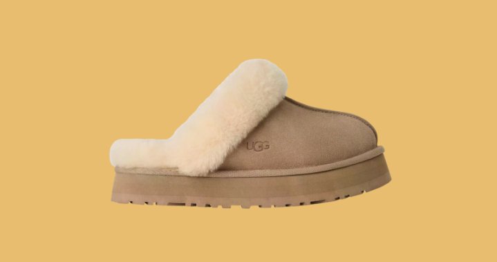 The Curator: Weekend getaway gear for your next road trip – National