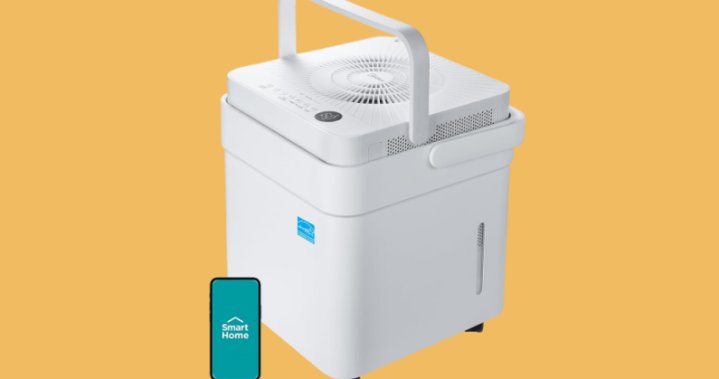 The Curator: Your guide to mold & mildew prevention & protection – National
