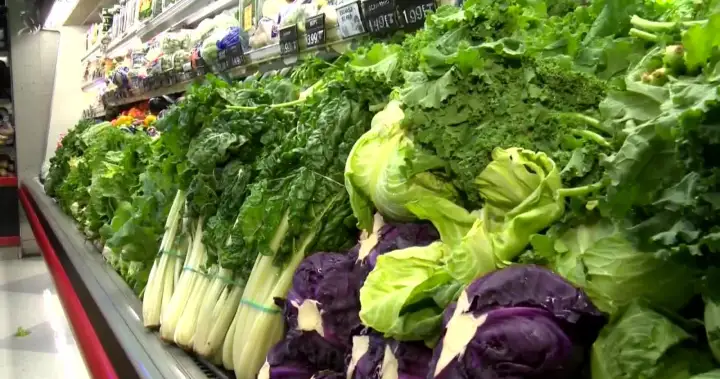 Prioritize buying local produce as cyclosporiasis cases rise: Quebec Health Ministry – Montreal