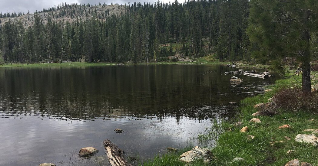 U.S. Forest Service Employees Are Freed After 15-Hour Hostage Ordeal