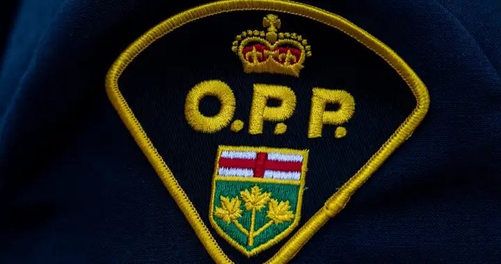 2 arrested after trip-wires found during Ontario break-and-enter investigation