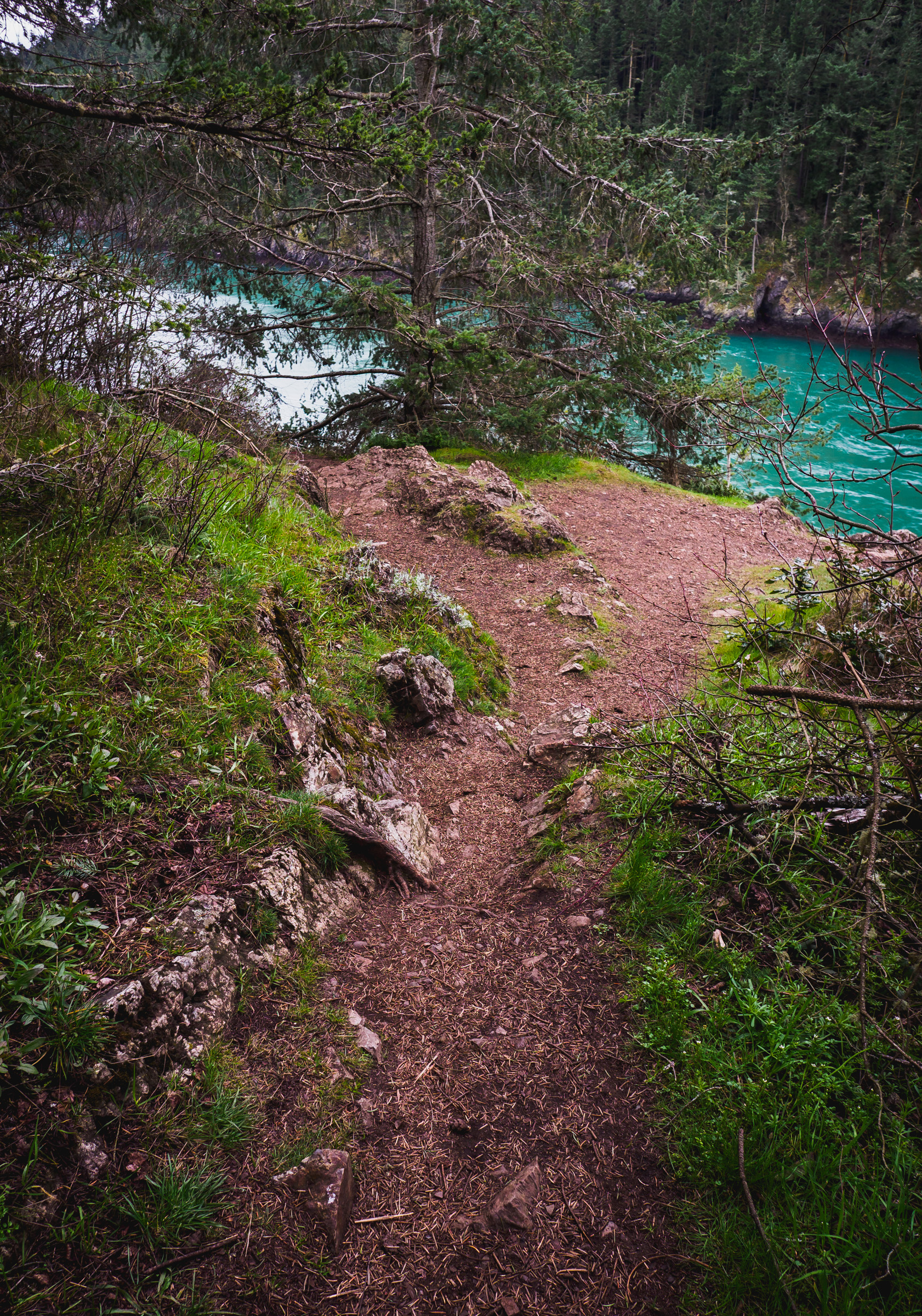 You Wouldn’t Have Approved « bluebrightly