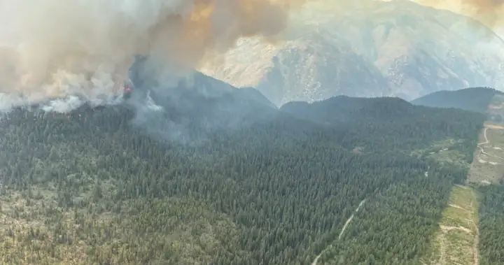B.C. wildfires causing flickering lights, outages for some BC Hydro customers