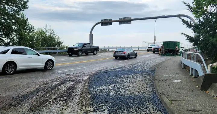 Blueberries spill onto Mission roadway — for the second time in a month – BC