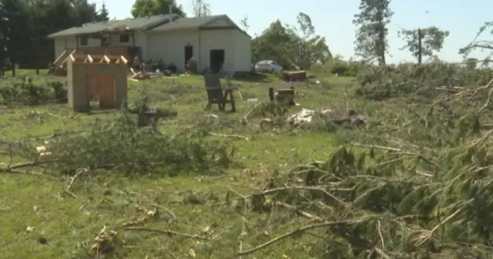 Southern Ontario storm damage prompts tornado investigation – Kingston