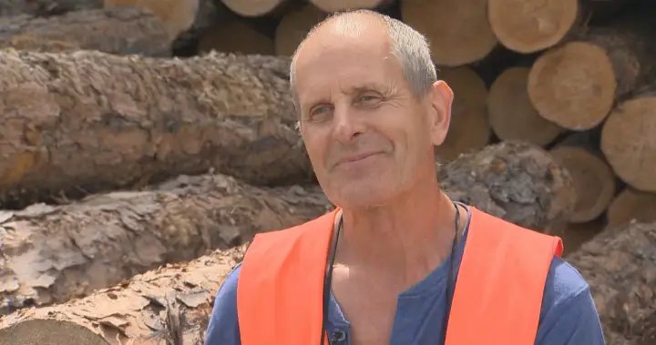 Manitoba logging industry threatened amid raging wildfires – Winnipeg