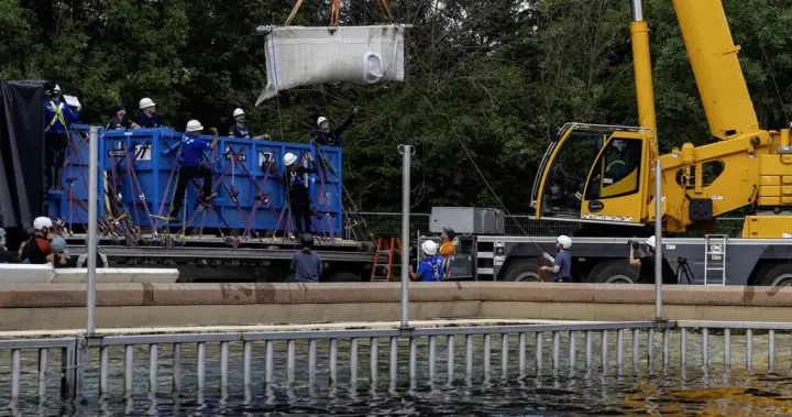 Six Marineland belugas now swimming in new U.S. homes – Montreal