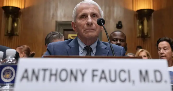 Dr. Anthony Fauci invokes Fifth Amendment in U.S. Senate pandemic hearing – National
