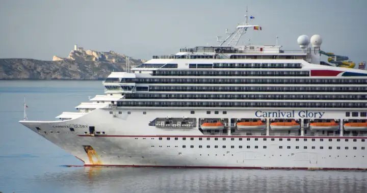 U.S. cruise passenger charged after allegedly hitting kids playing tag – National