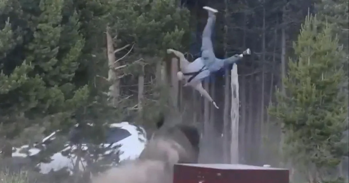 Man flipped by bison speaks out: “They move faster than you could ever imagine”