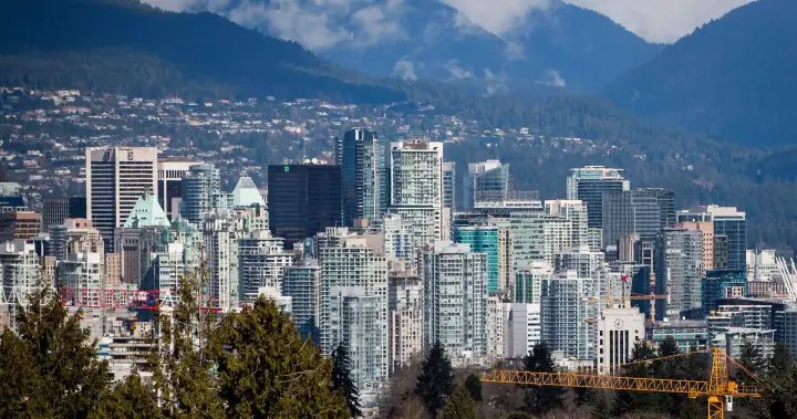 Mom-and-pop investors are outpacing big investors, StatCan data shows – National