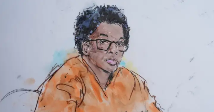 D4vd murder case: Singer accused of ordering chainsaws, body bags and shovel – National