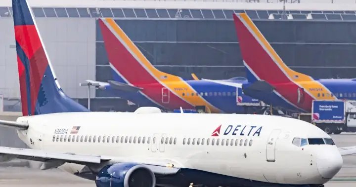 Delta plane hit by firework while landing in Chicago – National