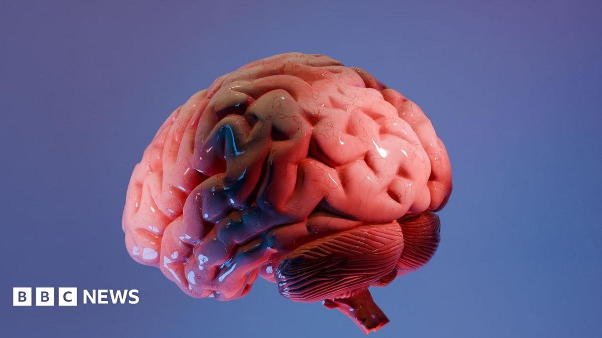 How Indian scientists are mapping the brain’s last frontier