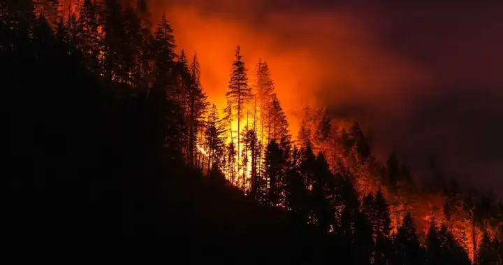 After experiencing 2016 wildfire, Fort McMurray survivor addresses evacuation trauma