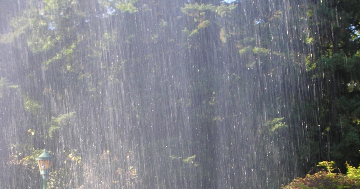 Recreating Eden: Saturday Photo: Falling Water