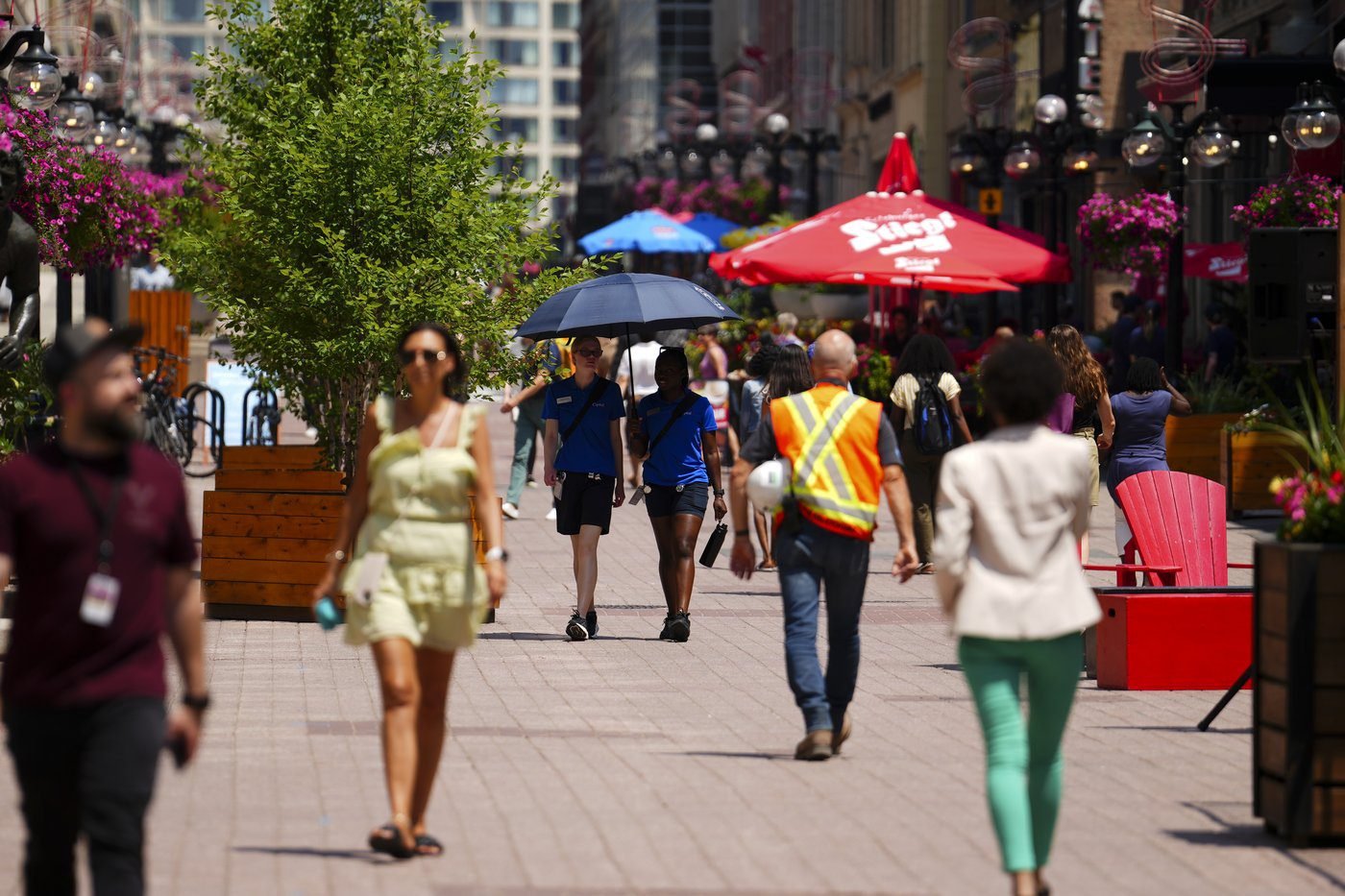 Applications for federal public service jobs drop by almost 30 per cent
