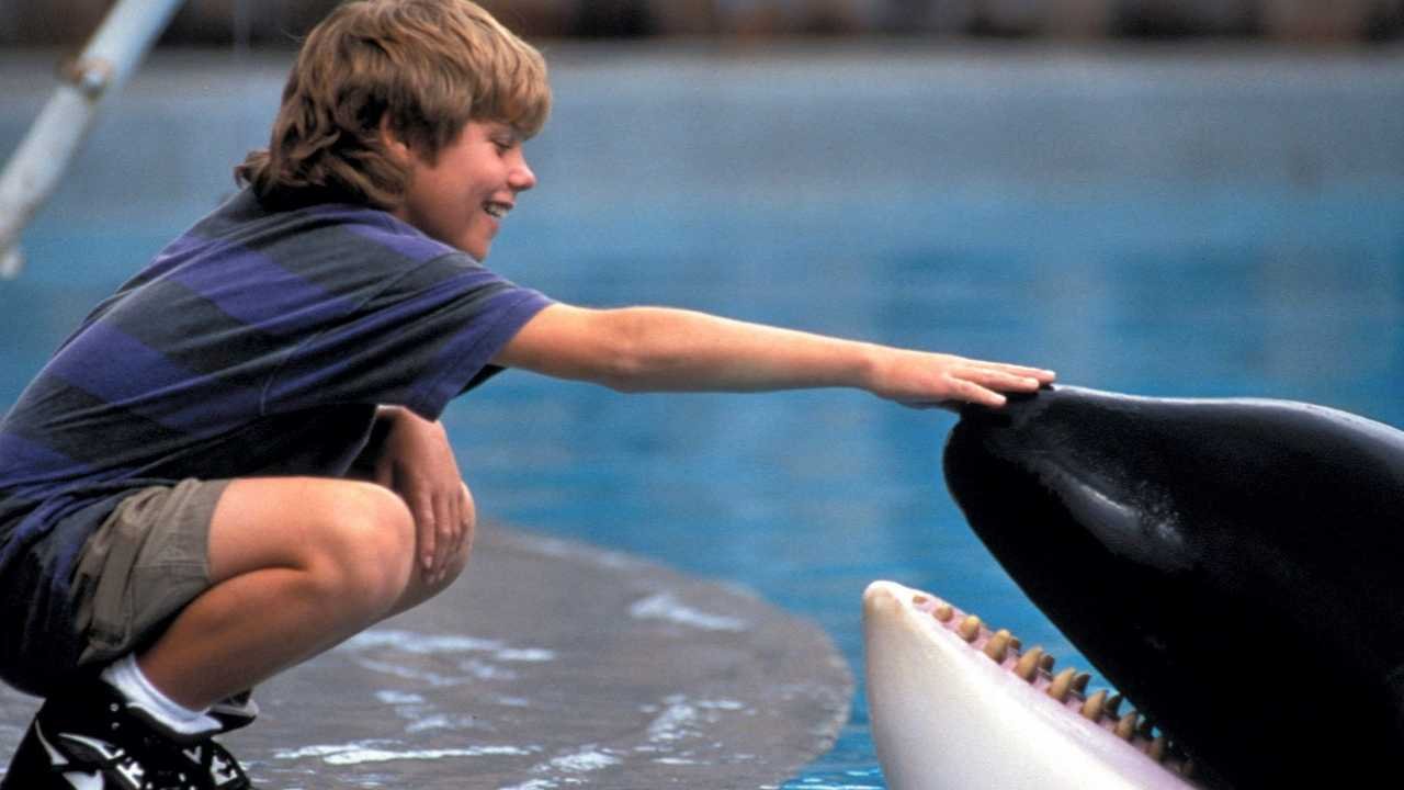 ‘Free Willy’ Reboot in the Works at Warner Bros.