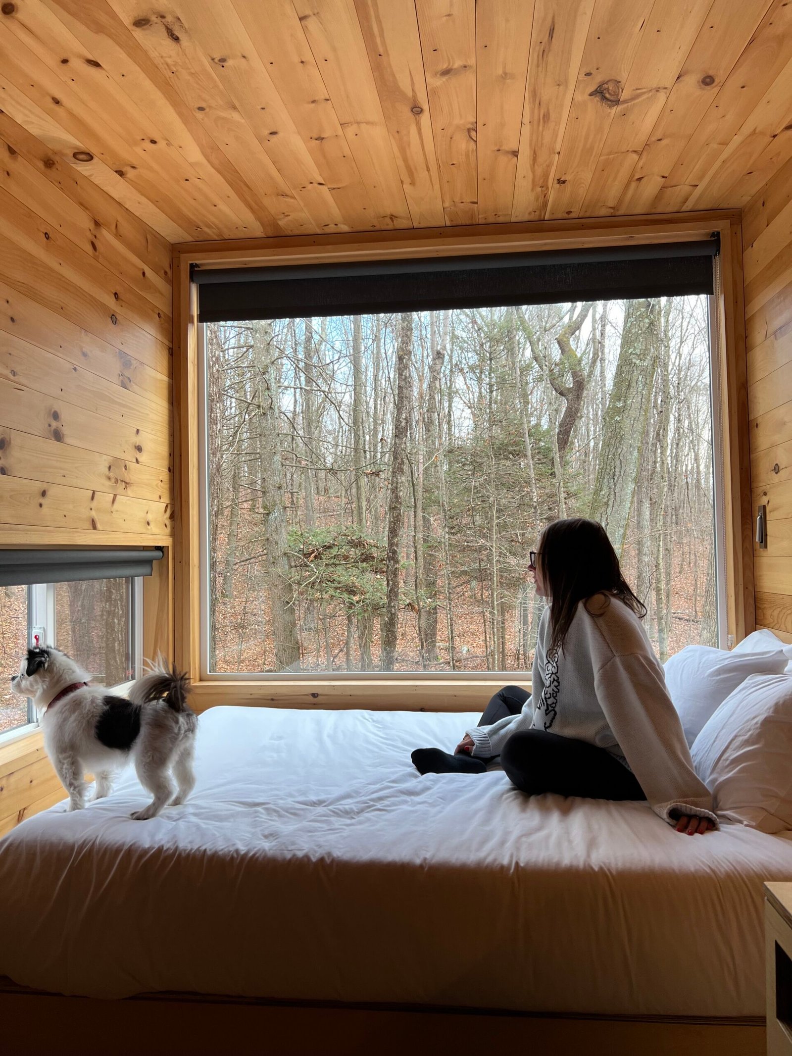 Postcards Cabin Review: Is This The Best Way To Vacation?