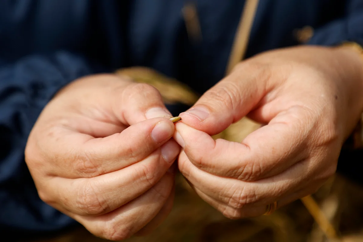Wall Street’s next AI trade is smaller than a grain of rice: One Big Idea