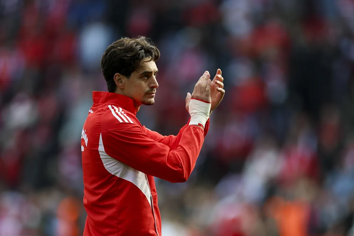 Schalke were reportedly keen to push financial limits to sign Diogo Leite