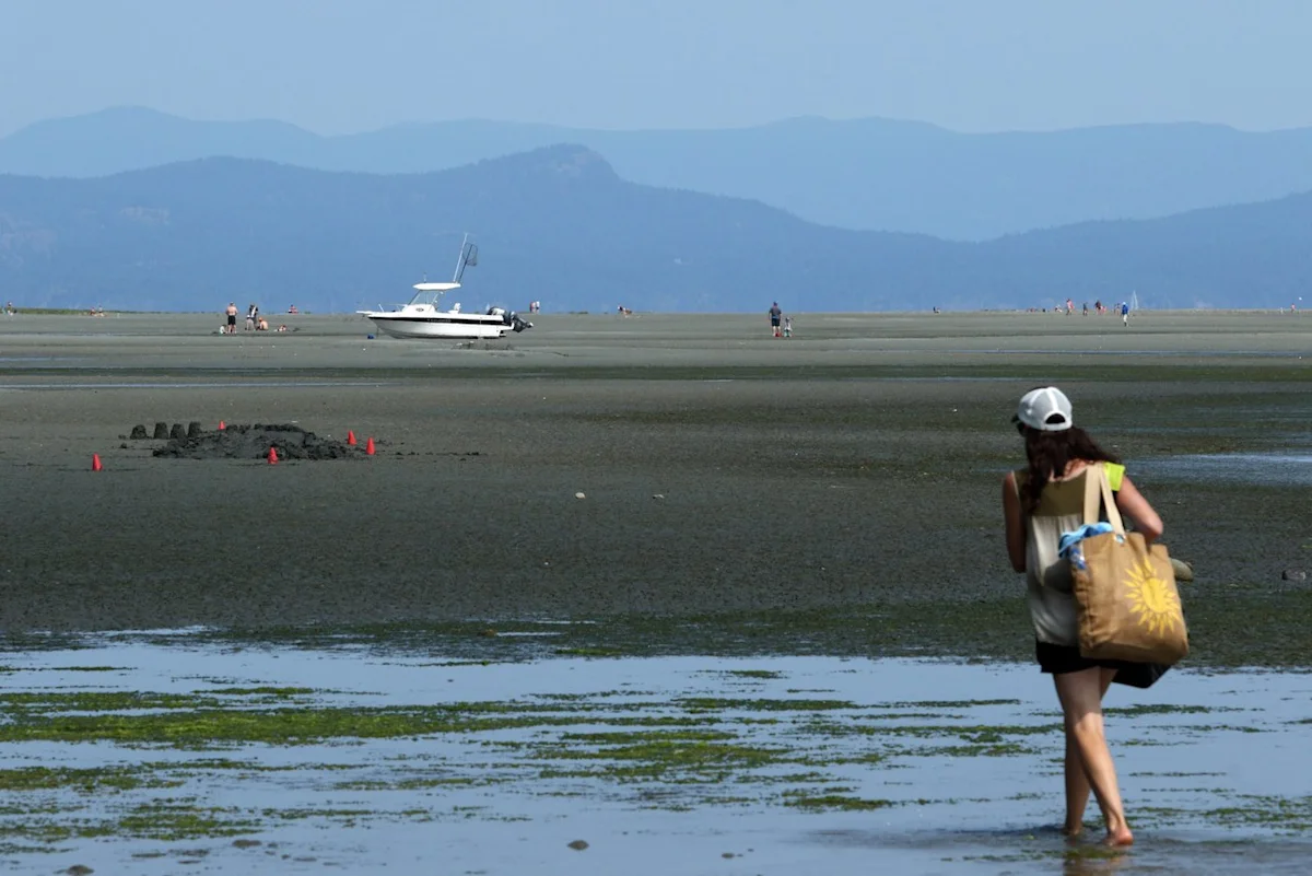 Heat warnings expand across B.C. as wildfire smoke sparks air quality concerns