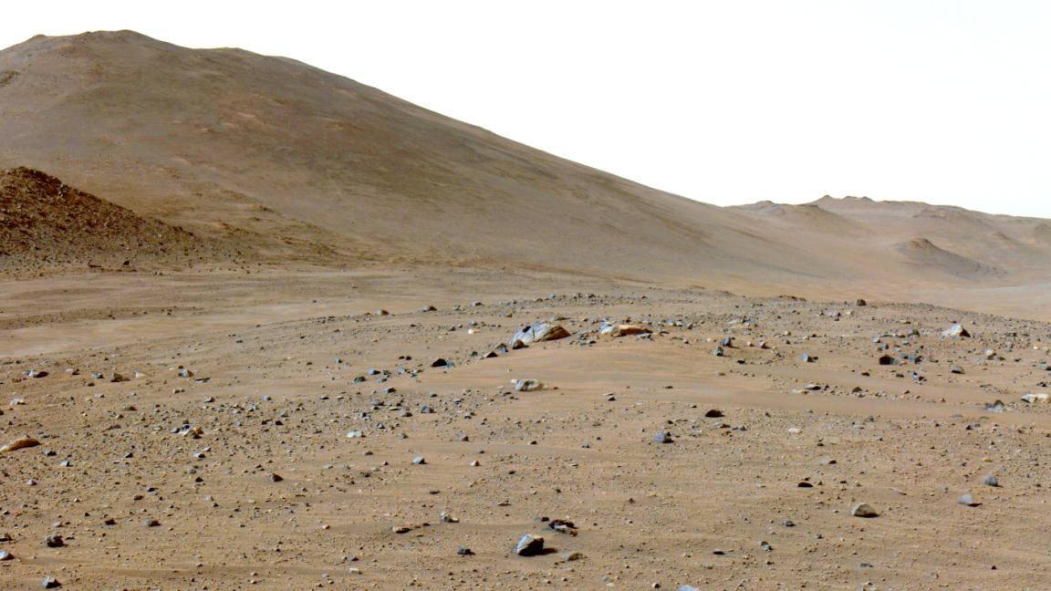 A martian rock has lots of carbon on it, and it’s not clear why