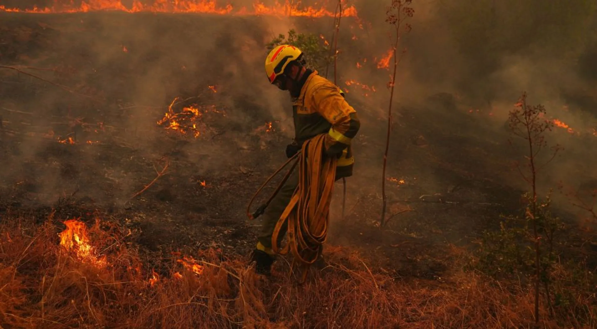What’s causing the unprecedented wildfires in Europe? | Climate News