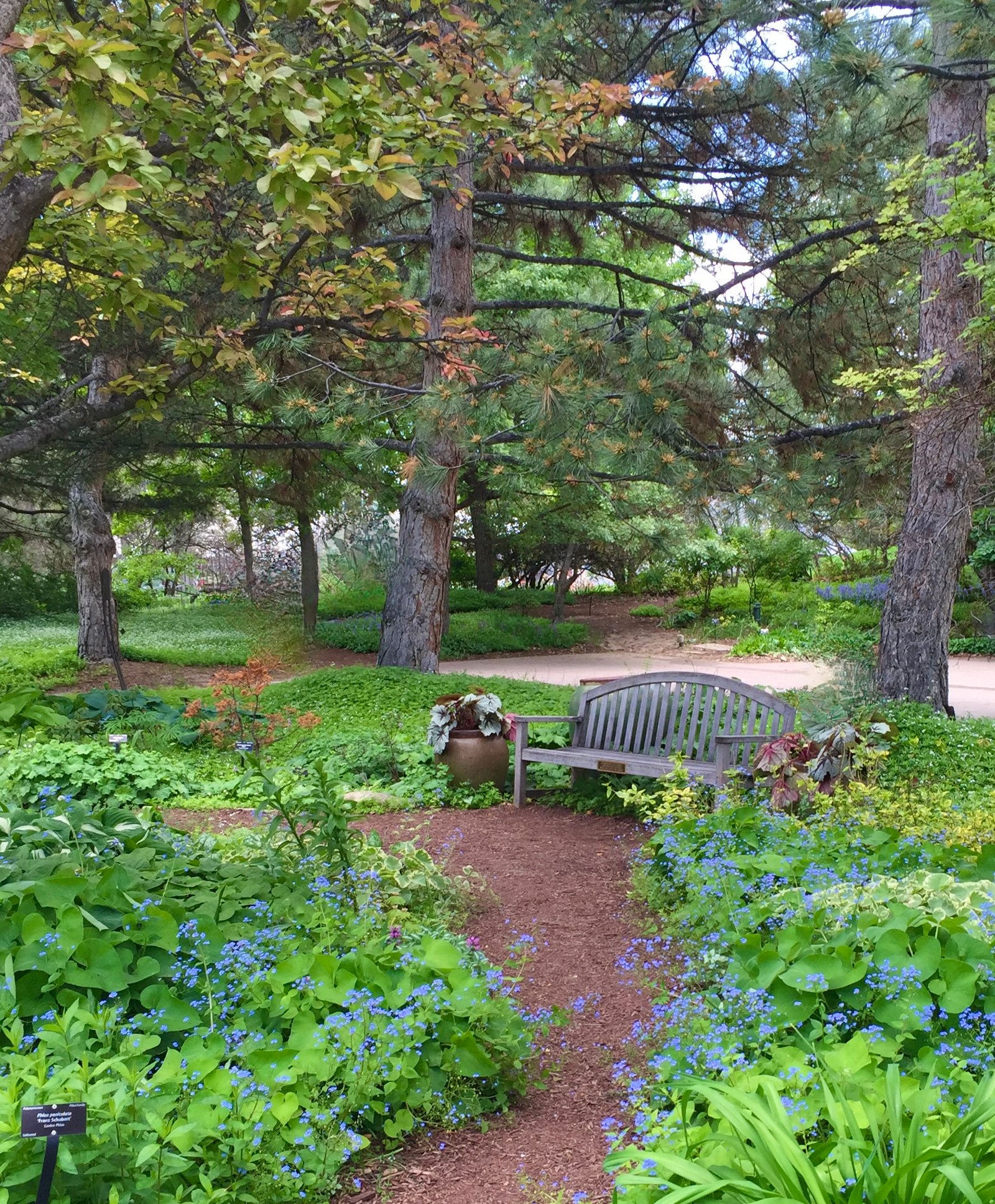 A Corner of Peace in a Busy Life – Aging with Grace