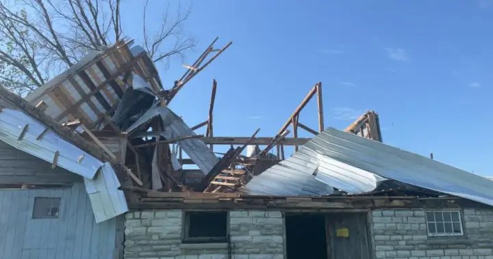 Flattened trees, damaged buildings caused by 2 tornadoes near Kingston: researchers – Kingston