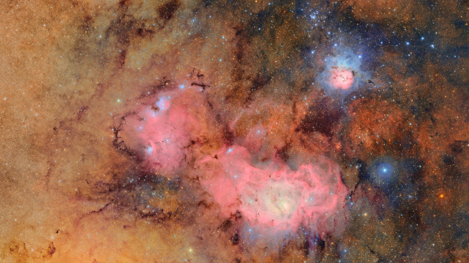 A 10-Year Sky Survey Begins Filming A ‘Cosmic Movie,’ Cyborg Cockroaches Go For A Dive And More Science Stories