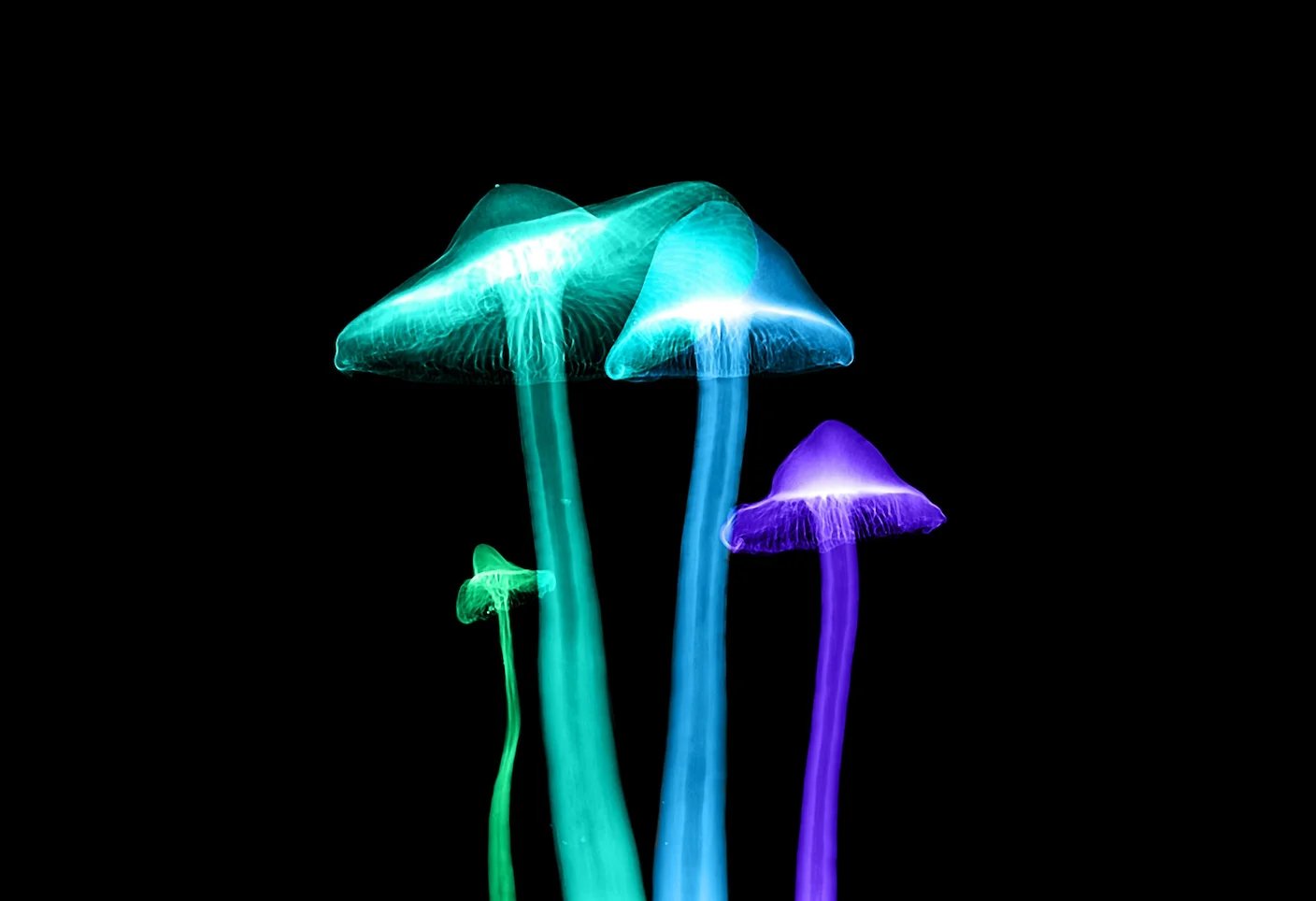 Woman With Alzheimer’s Shows Striking Improvement After Taking Magic Mushrooms