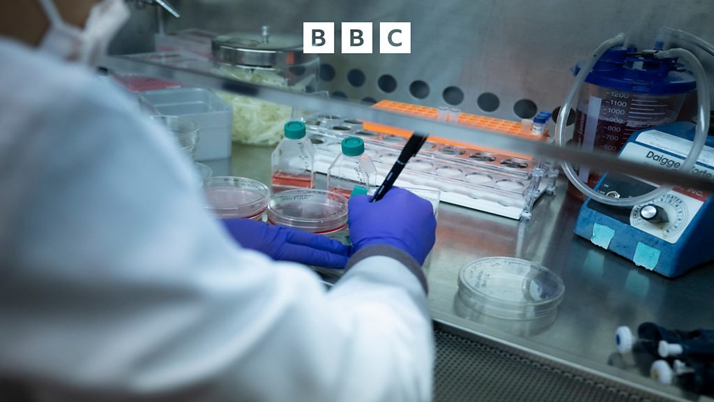 The Inquiry – Are we closer to gene therapy for sickle cell disease being accessible?