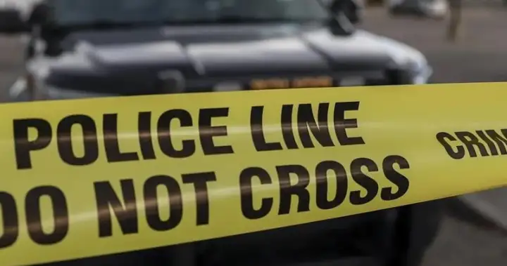 Calgary police homicide unit investigating after man killed in stabbing overnight