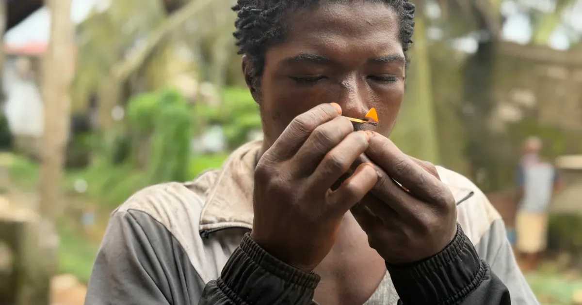 Liberia’s kush crisis: The hidden trade behind a generation at risk | News