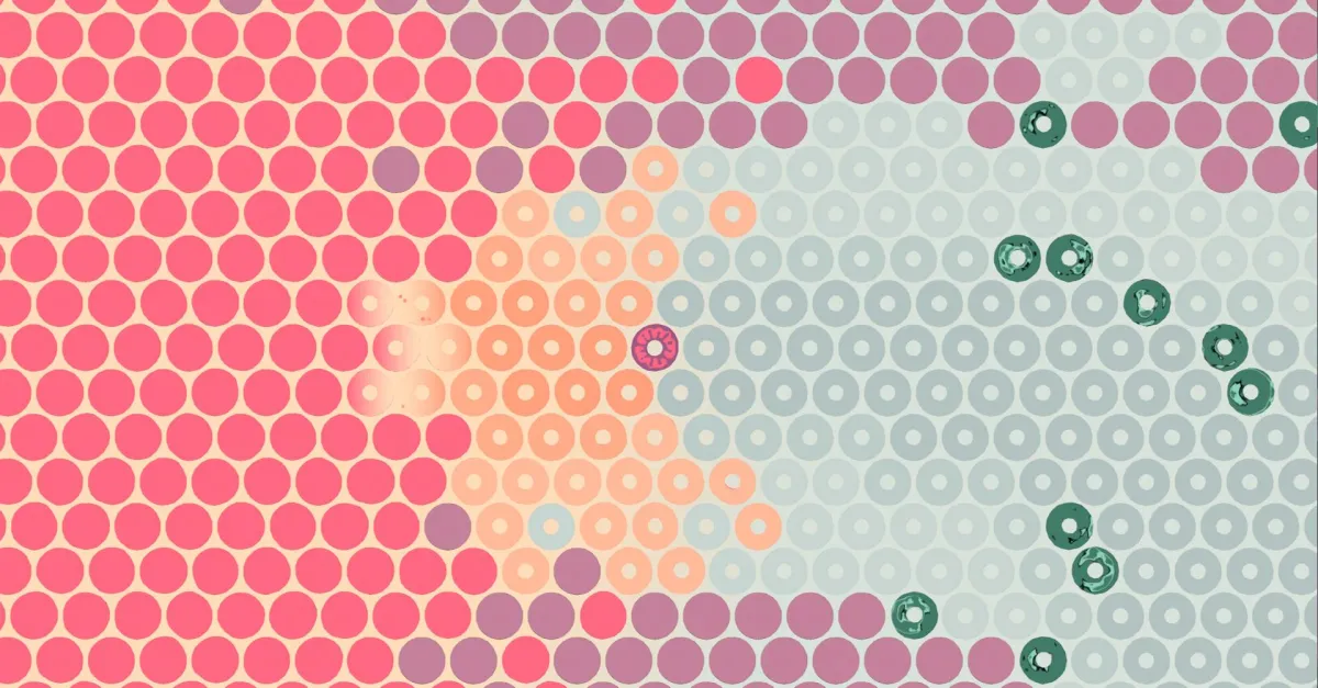 What Surrounds Us will make you think a lot about circles