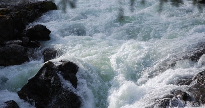 Swimmer still missing after being swept away by river in B.C. park – BC