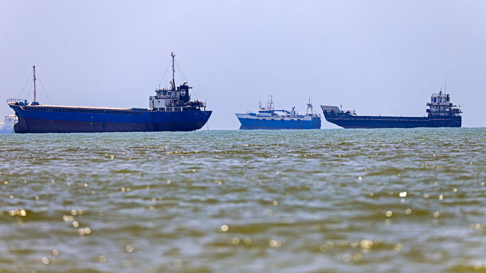 Scientists warn of possible invasive species superspreader event due to stalling near Strait of Hormuz