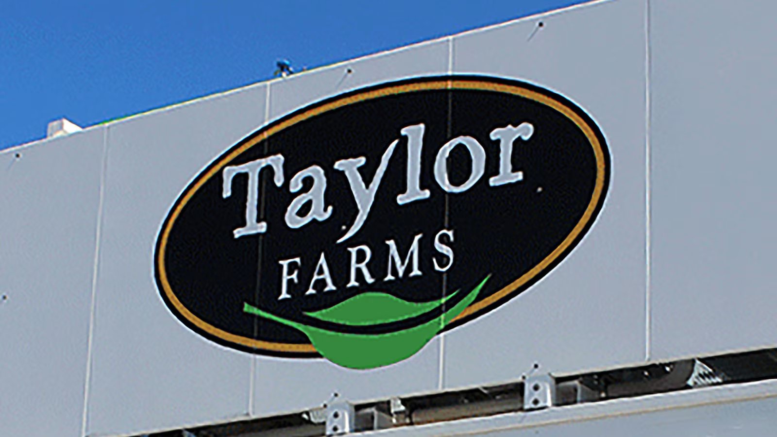 Taylor Farms recalls lettuce in 27 states amid cyclosporiasis outbreak: What to know