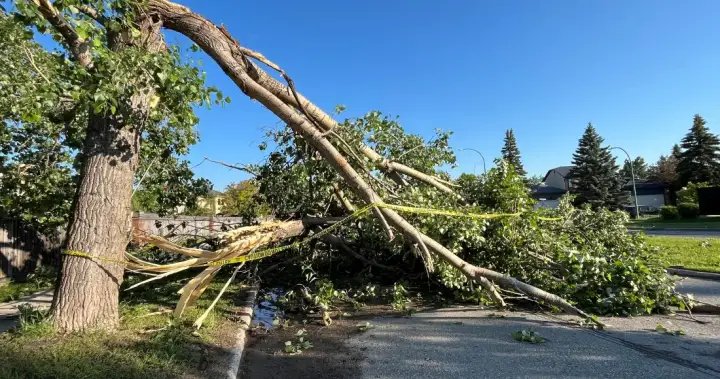 Tornado confirmed in Winnipeg neighbourhood: Environment Canada – Winnipeg