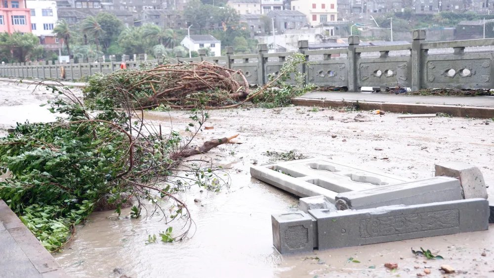 China’s Shanghai, Ningbo Ports Reopen After Typhoon Bavi Shutdowns