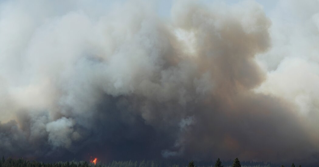 More Than a Dozen Wildfires Burn in Washington State, Forcing Evacuations
