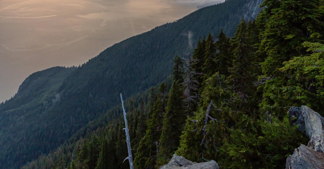 Teen Hikers Rescued 12 Hours Into Google Maps Hike
